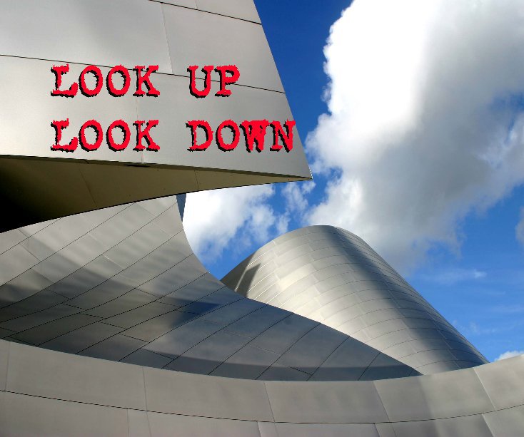 View Look Up   Look Down by by Carolee Lavarini