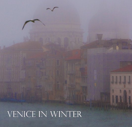 View Venice in Winter by Ginna Fleming