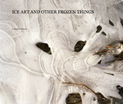 ICE ART AND OTHER FROZEN THINGS book cover