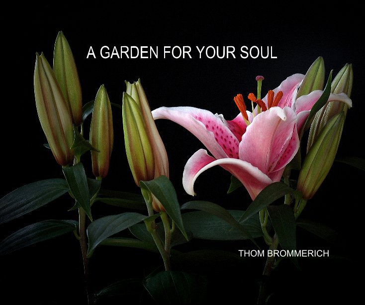 View A GARDEN FOR YOUR SOUL by THOM BROMMERICH