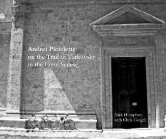 Andrei Piciclette book cover