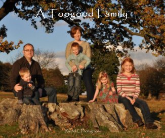 A Toogood Family book cover
