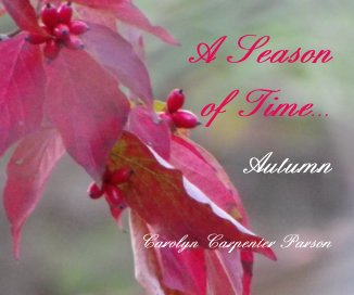 A Season of Time... book cover