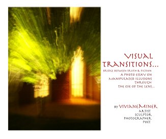 Visual Transitions : A Bridge between truth & fiction book cover