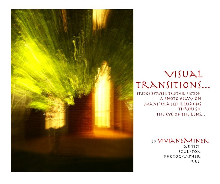View Visual Transitions : A Bridge between truth & fiction by vivianeMiner ... artist sculptor photographer poet