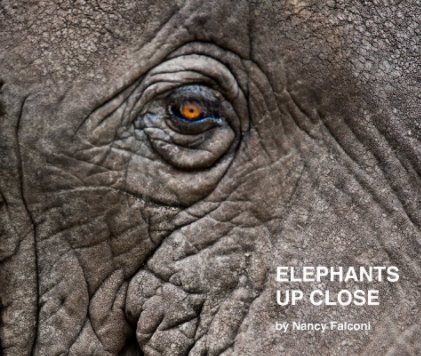 Elephants Up Close book cover