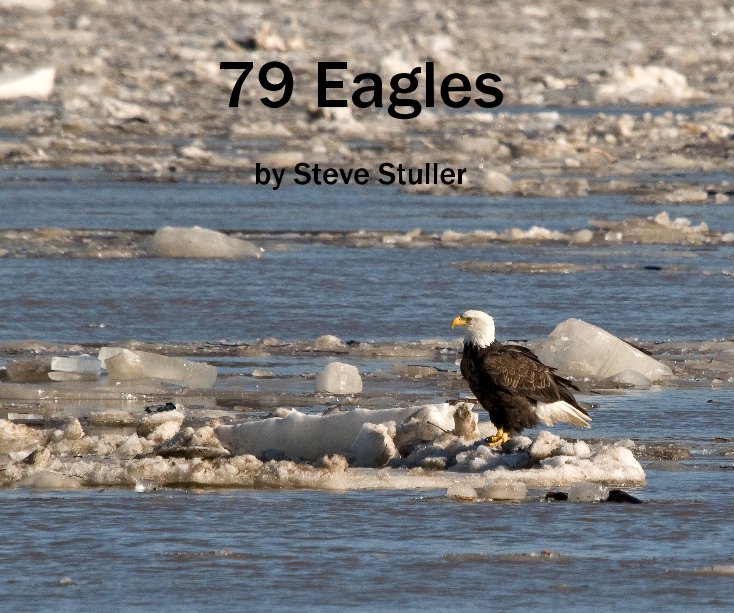View 79 Eagles by Steve Stuller