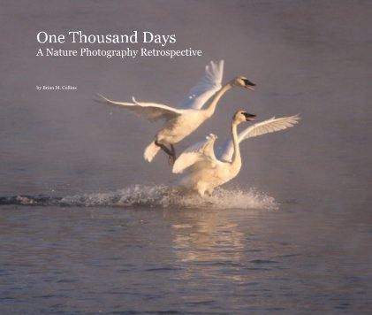 One Thousand Days A Nature Photography Retrospective book cover