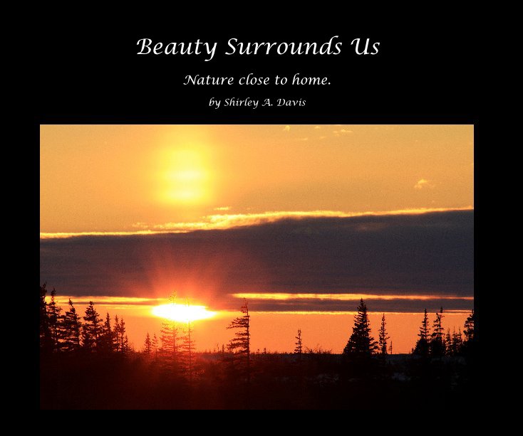 View Beauty Surrounds Us by Shirley A. Davis
