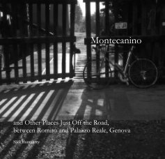 Montecanino book cover