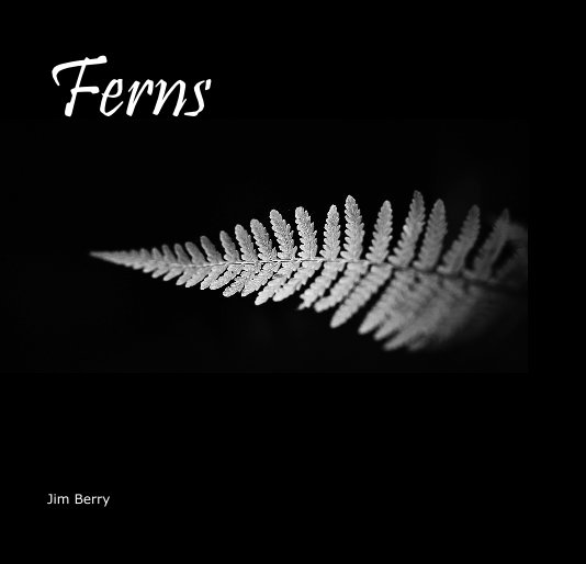 View Ferns by Jim Berry
