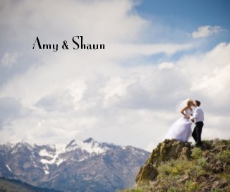 Amy & Shaun book cover
