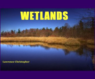 WETLANDS book cover