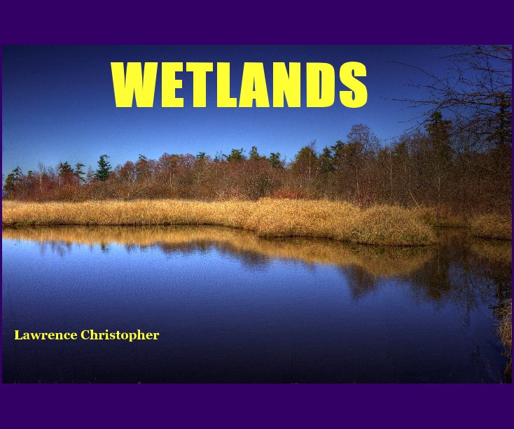 View WETLANDS by Lawrence Christopher