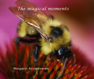 The magical moments book cover
