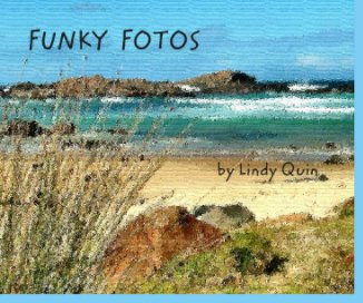 FUNKY  FOTOS                                                 by Lindy Quin book cover