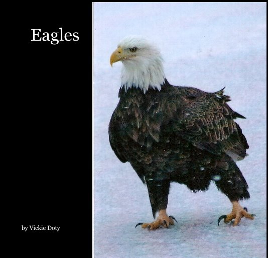 View Eagles by Vickie Doty
