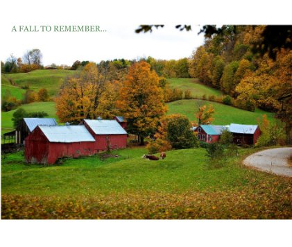 A FALL TO REMEMBER... book cover