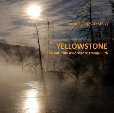 YELLOWSTONE book cover