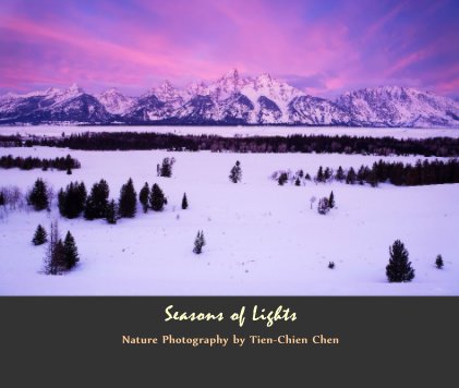 Seasons of Lights book cover