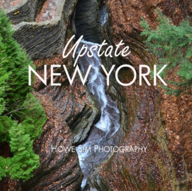 Upstate New York book cover