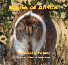 Bums of Africa book cover
