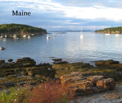 Maine book cover
