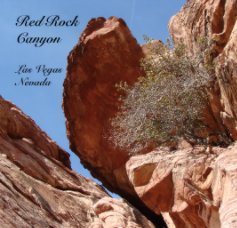 Red RockCanyonLas VegasNevada book cover