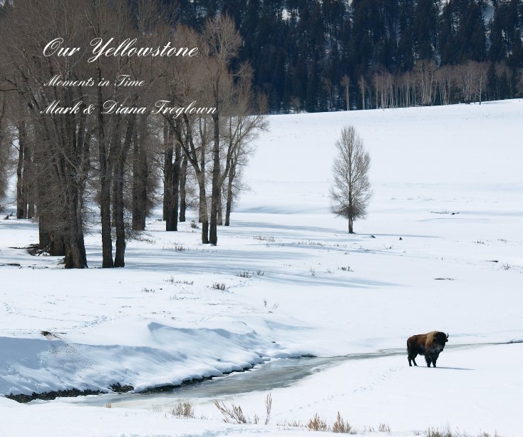 View Our Yellowstone by Mark & Diana Treglown