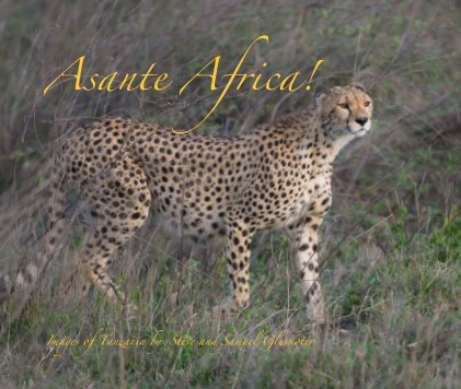 Asante Africa! book cover