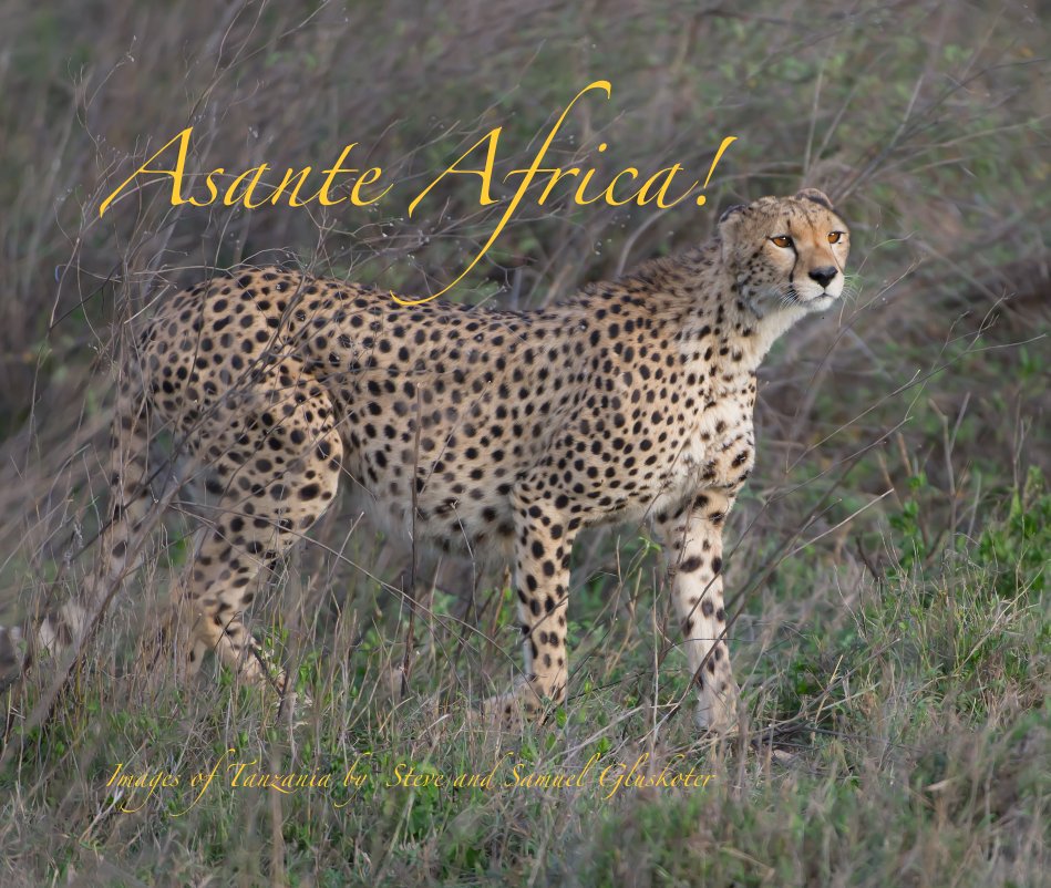 Visualizza Asante Africa! di Steve and Samuel Gluskoter