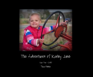 The Adventures of Karley Jane book cover