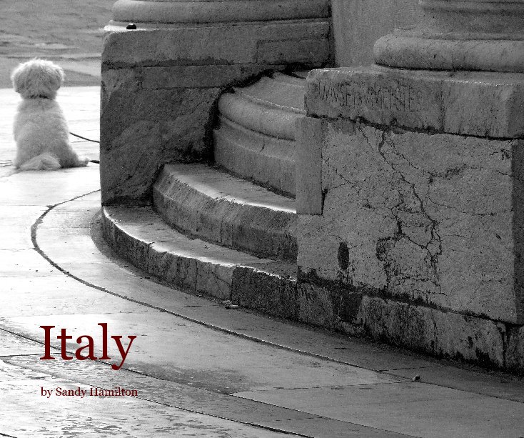 View Italy by Sandy Hamilton