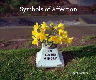 Symbols of Affection book cover