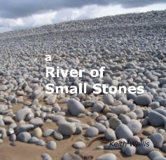 a River of Small Stones book cover