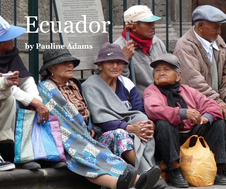 View Ecuador by Pauline Adams