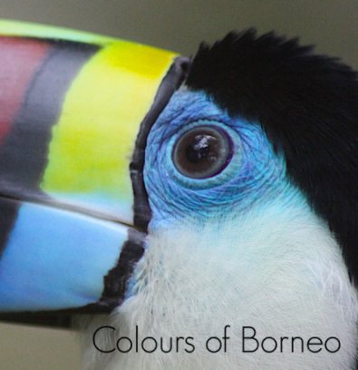 Colours of Borneo book cover
