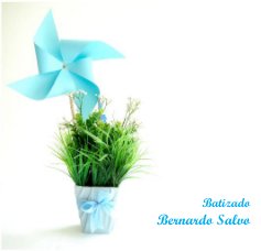 Batizado Bernardo Salvo book cover