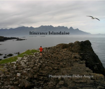 Islande 2010 book cover