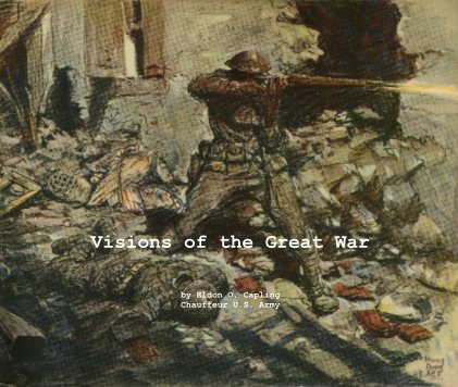 Visions of the Great War book cover