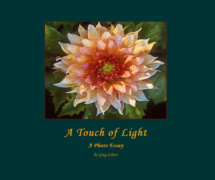 View A Touch of Light by Greg Scherr