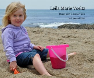 Leila Marie Voeltz book cover