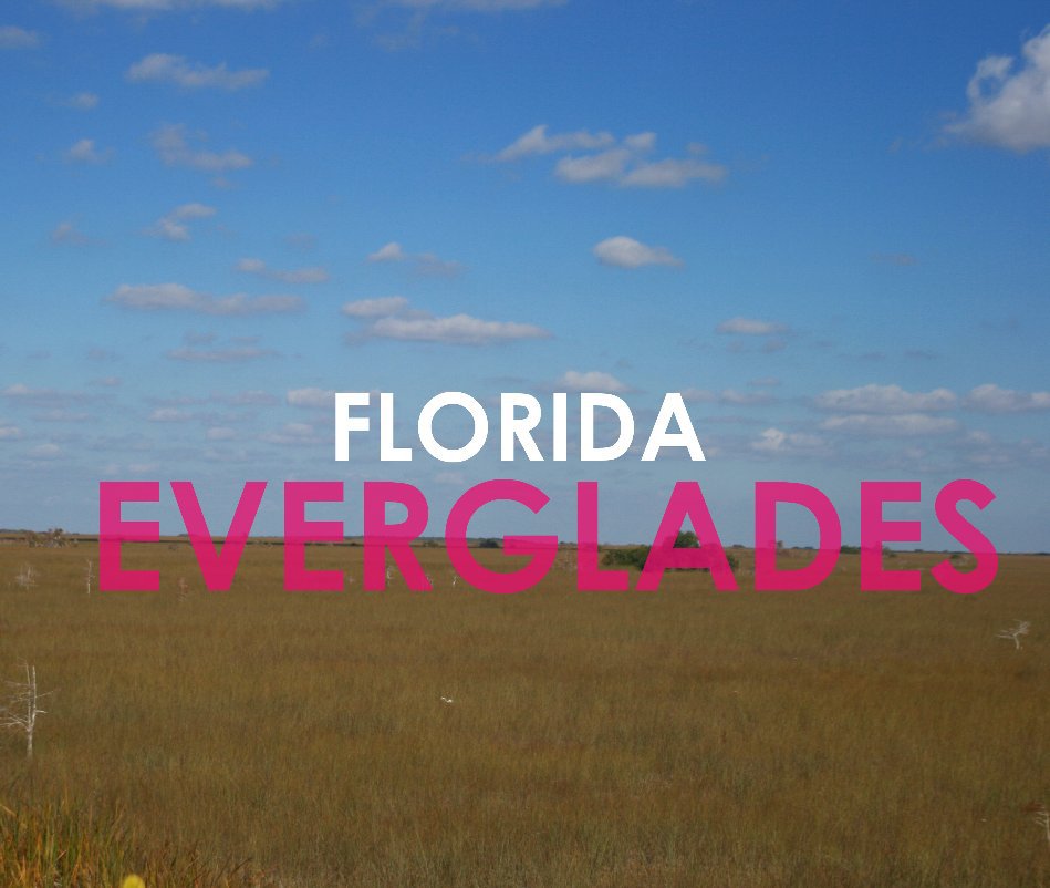 Ver Florida Everglades por JORGE MARQUEZ