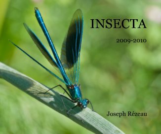 INSECTA book cover
