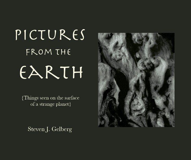 View Pictures from the Earth by Steven J Gelberg