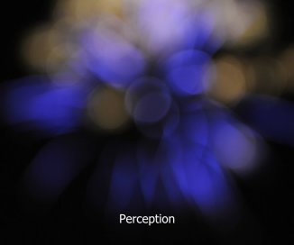 Perception book cover