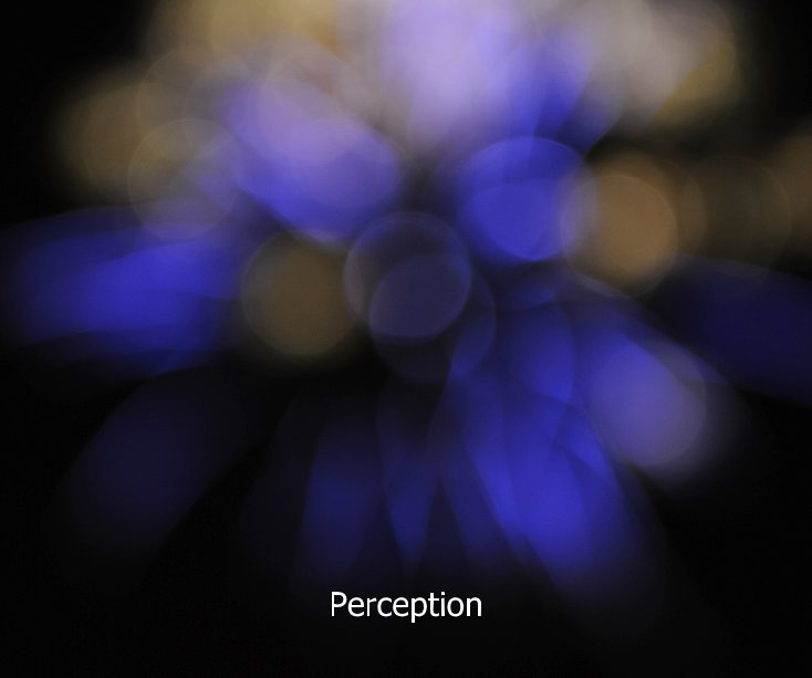 View Perception by Matt Smith