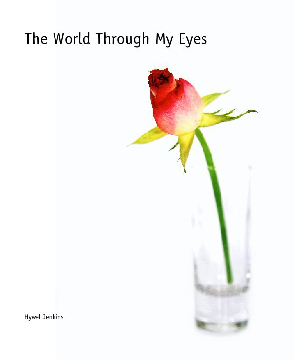 View The World Through My Eyes by Hywel Jenkins