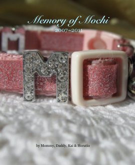 Memory of Mochi 2007~2011 book cover