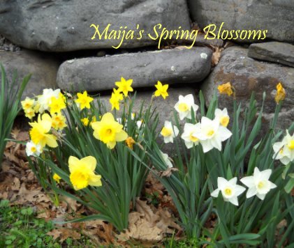 Maija's Spring Blossoms book cover